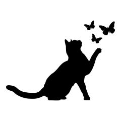 Kat met vlinders