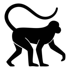 Loslopende aap