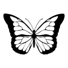 Vlinder omvang