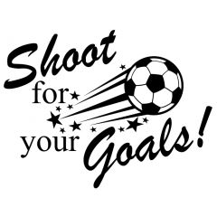 Shoot for your goals